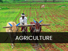 agriculture