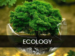 ecology