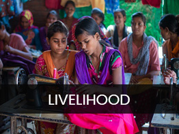 livelihood