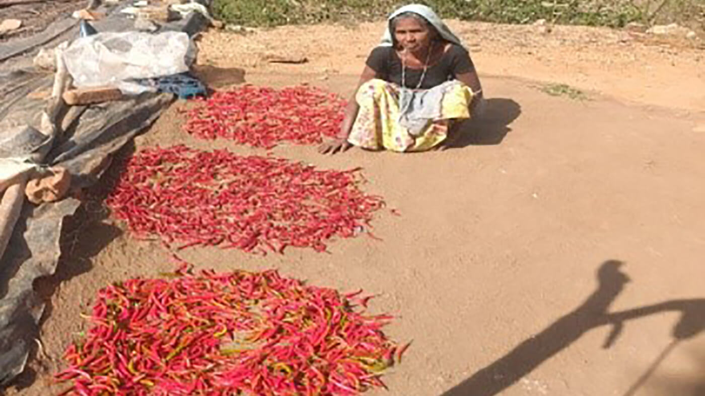 This is how Women of Bhima Ka Kheda village zeroed market dependency