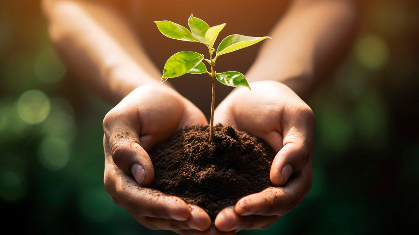 We need ecological sustainability