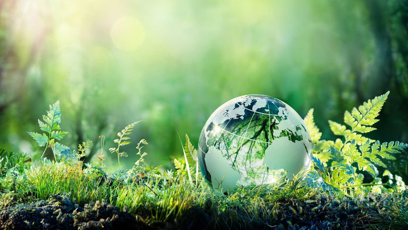 Urgent Need for Minimising Consumption